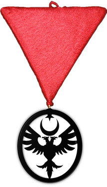HotNI medal