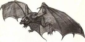 Probe-Bat sketch
