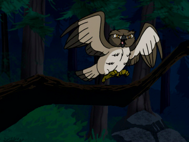 File:Vlcsnap-2015-01-13-18h20m41s74.png