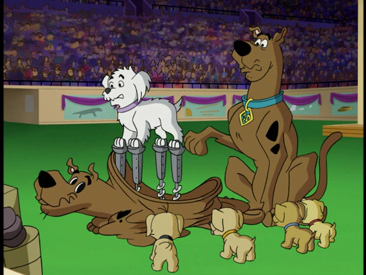 Homeward Hound What's New Scooby Doo Wiki FANDOM powered by Wikia