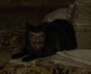 Vladislavcat