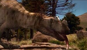 ceratosaurus and allosaurus
