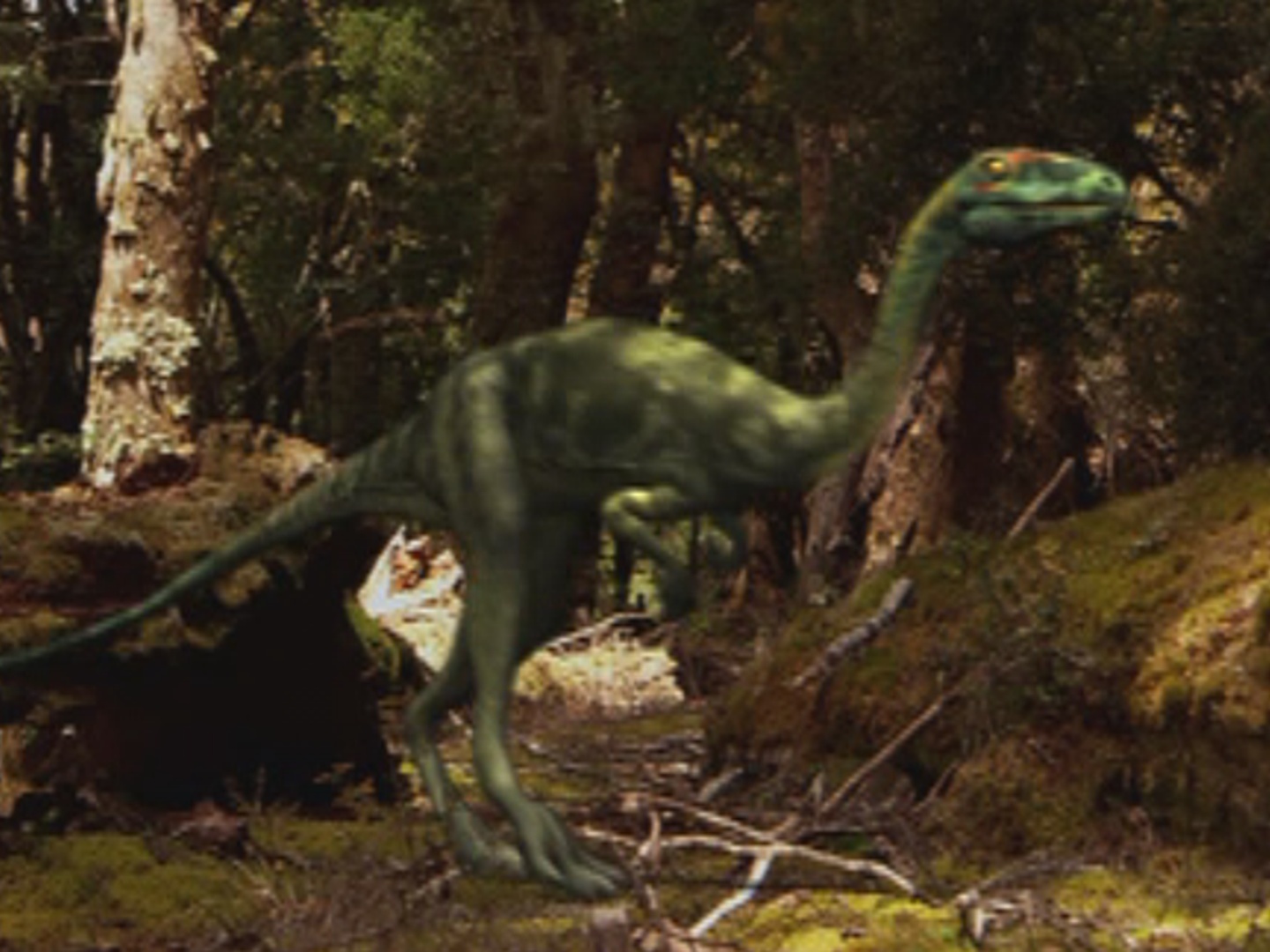 coelophysis walking with dinosaurs