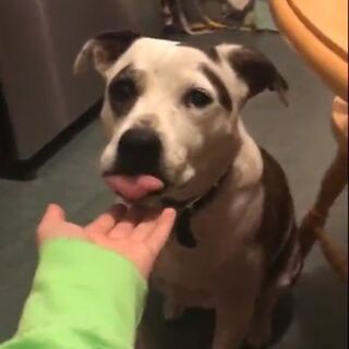 Pepper Billie Eilish Wiki Fandom