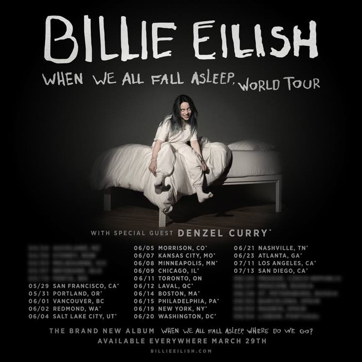 When We All Fall Asleep, World Tour Billie Eilish Wiki FANDOM