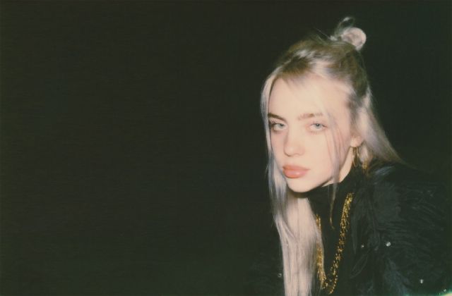 billie eilish when the party s over wiki image 18295928 billie eilish the avocado queen 654818ac billie eilish when the party s over wiki image 18295928 billie eilish the avocado queen 654818ac