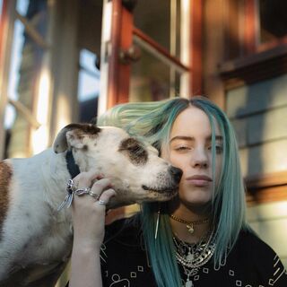 Does Billie Eilish Have Pets Daedalusdrones Com