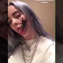 You Should See Me In A Crown Billie Eilish Wiki Fandom