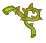 Thorns