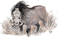 SkullPig