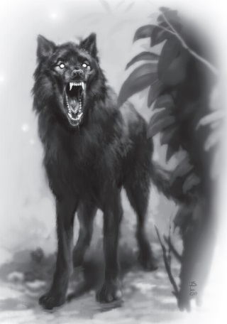 white wolf wikia white wolf wikia