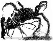 Ananasi forms 01