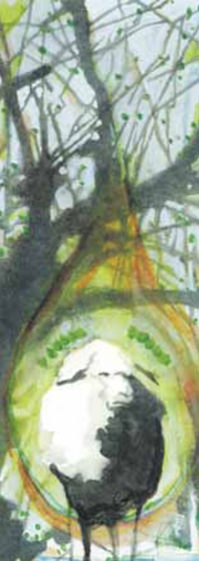 Imbolc