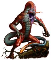 Mokolé Archid form