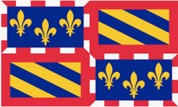 Burgundy Flag