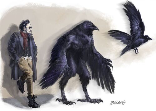 Corax forms
