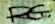 Rebecca Guay sign