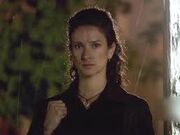 Images6