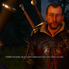 Witcher 3 Gwint Lambert Witcher 3 Gwint Lambert