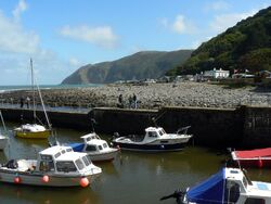 Devon 36