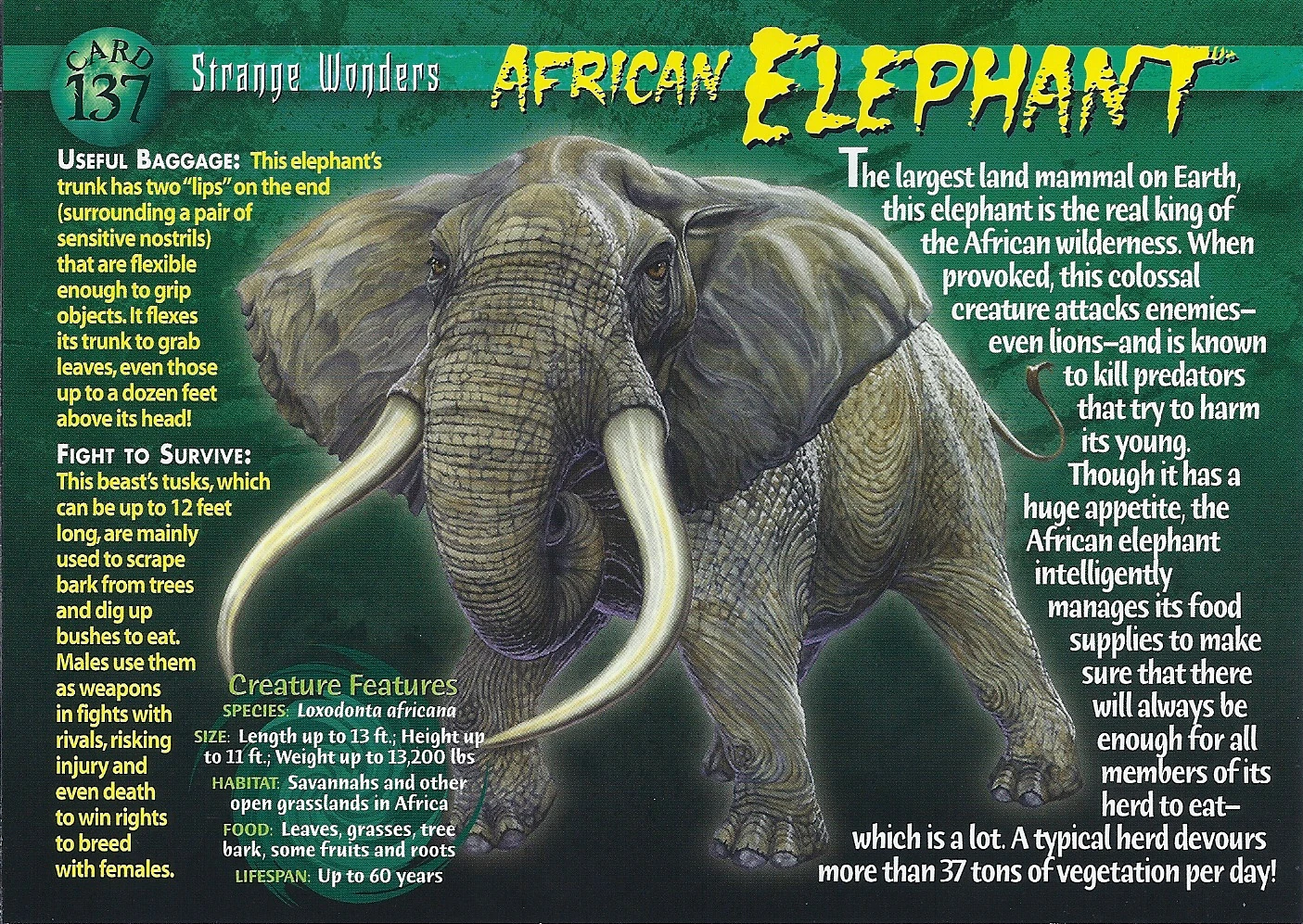 African Elephant Weird n' Wild Creatures Wiki Fandom