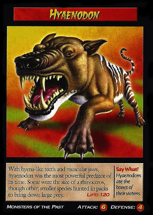 image hyaenodon jpg wierd nwild creatures wiki fandom powered hyaenodon size