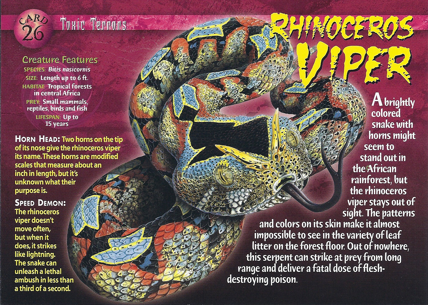 rhinoceros viper toy