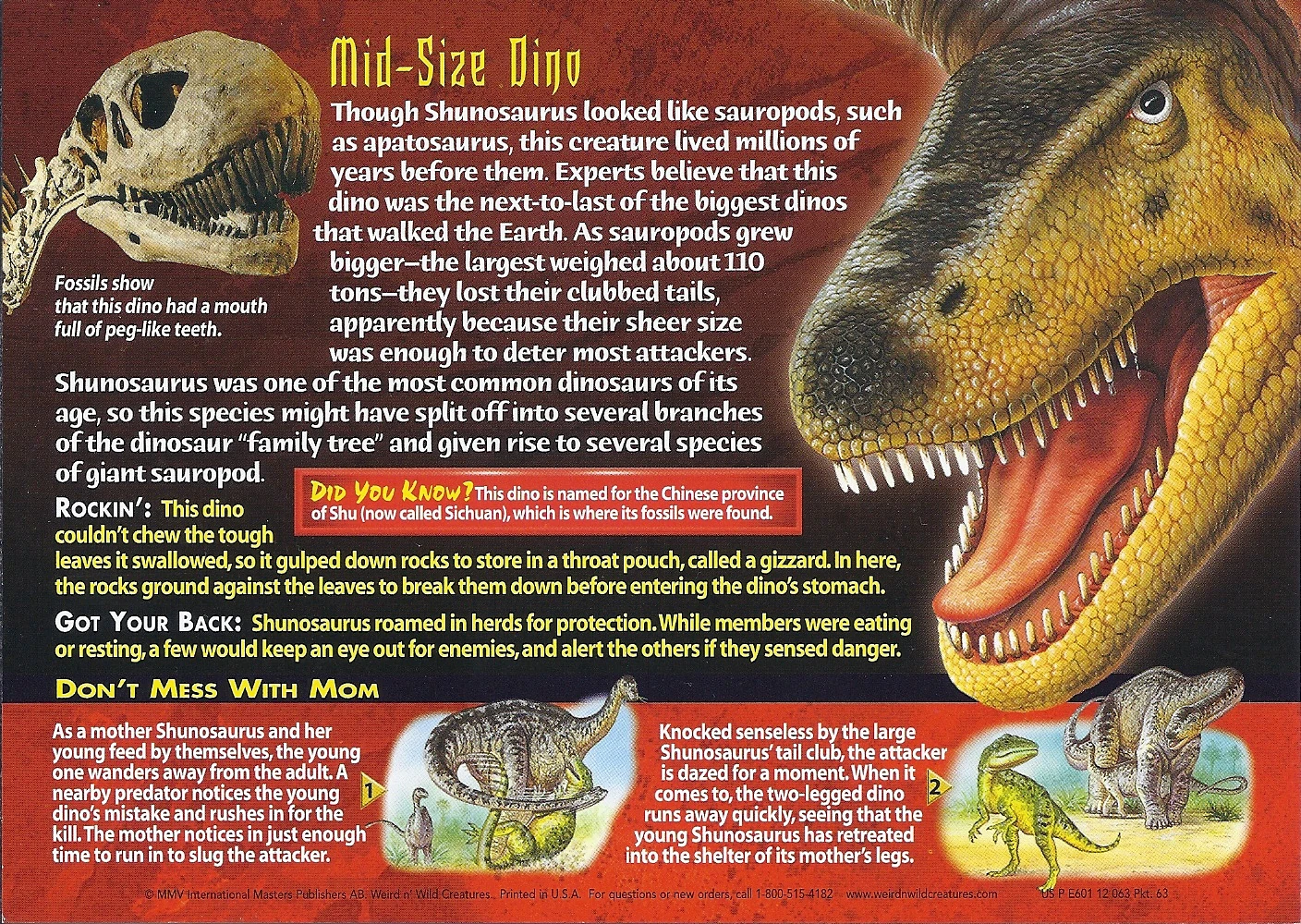 Image Shunosaurus back.jpg Weird n' Wild Creatures Wiki FANDOM