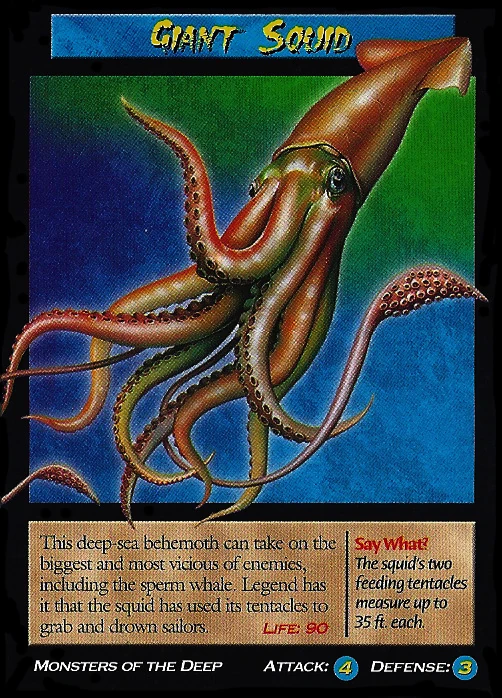 Giant Squid Weird n� Wild Creatures Wiki Fandom Giant Squid Weird n� Wild Creatures Wiki Fandom