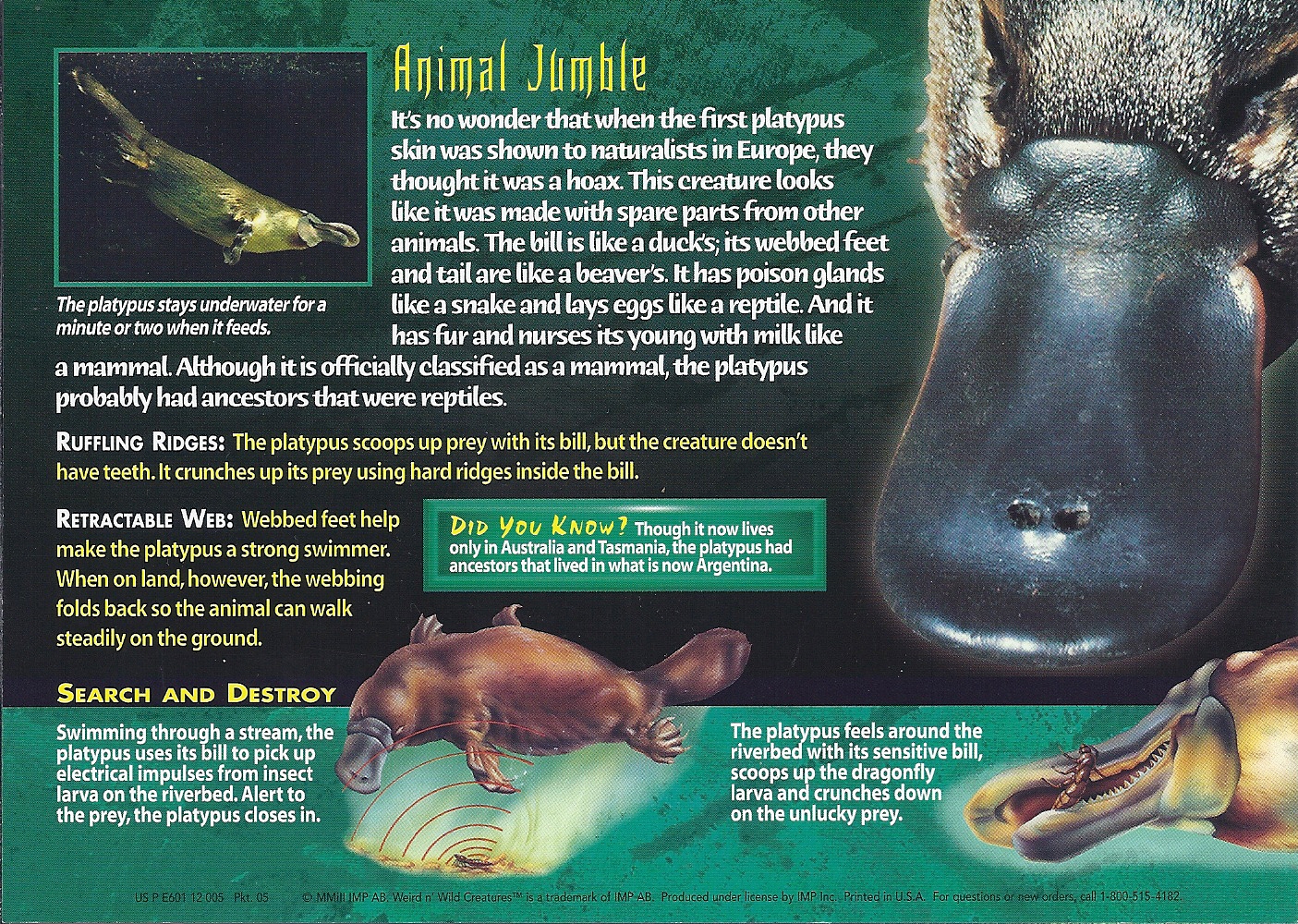 crazy platypus facts
