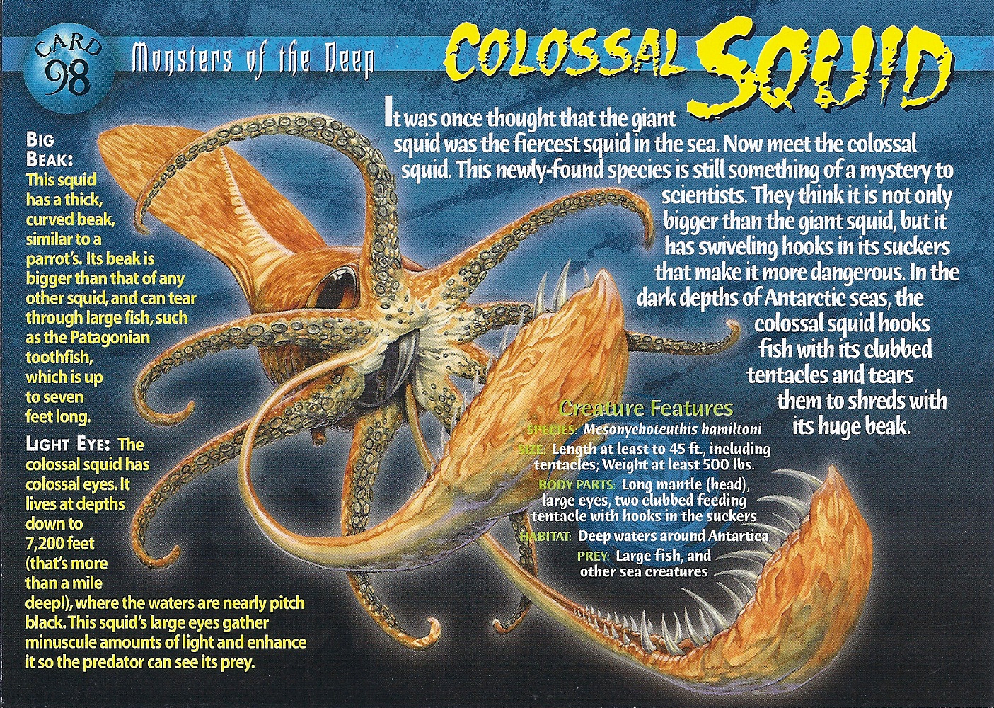 Colossal Squid Wierd N Wild Creatures Wiki Fandom