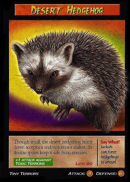 webkinz desert hedgehog
