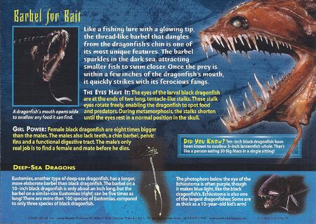 Black Dragonfish | Weird n' Wild Creatures Wiki | FANDOM powered by Wikia