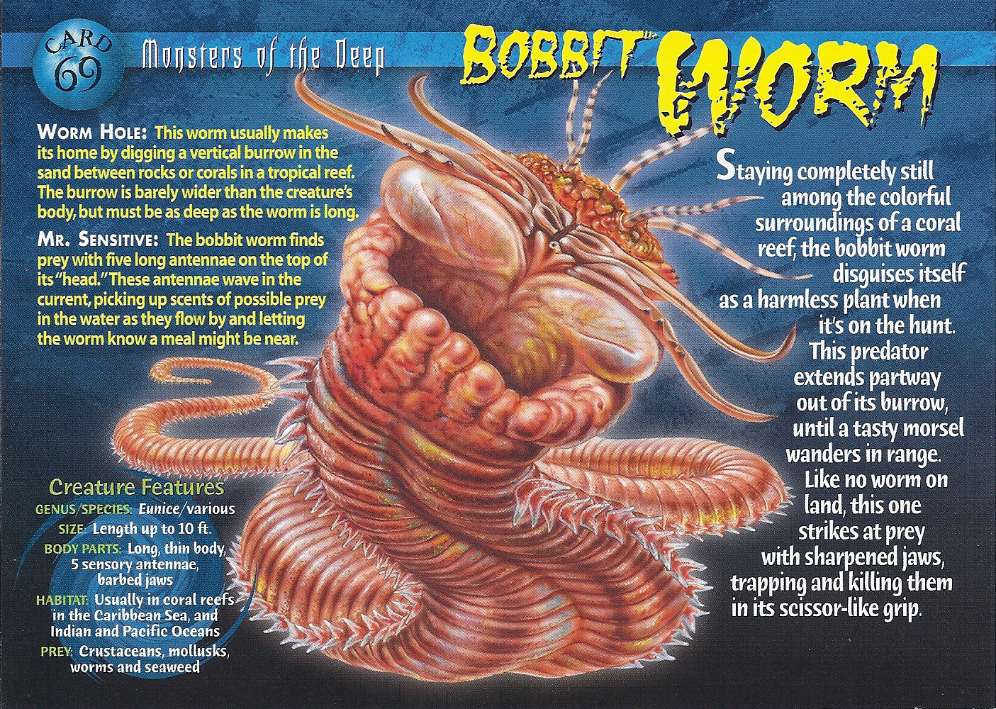 Bobbit Worm | Weird n' Wild Creatures Wiki | FANDOM powered by Wikia