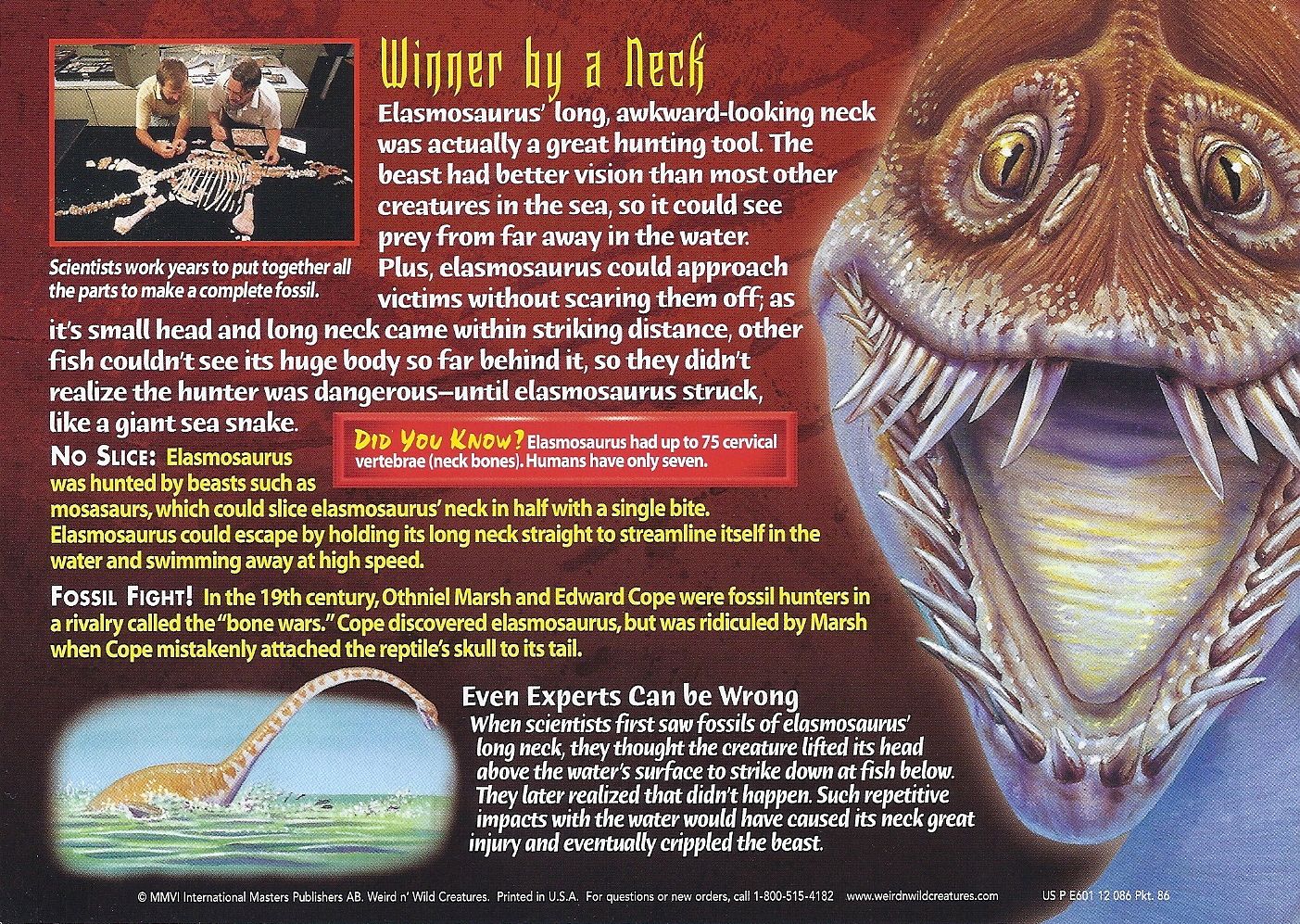 image elasmosaurus back jpg wierd nwild creatures wiki fandom elasmosaurus size