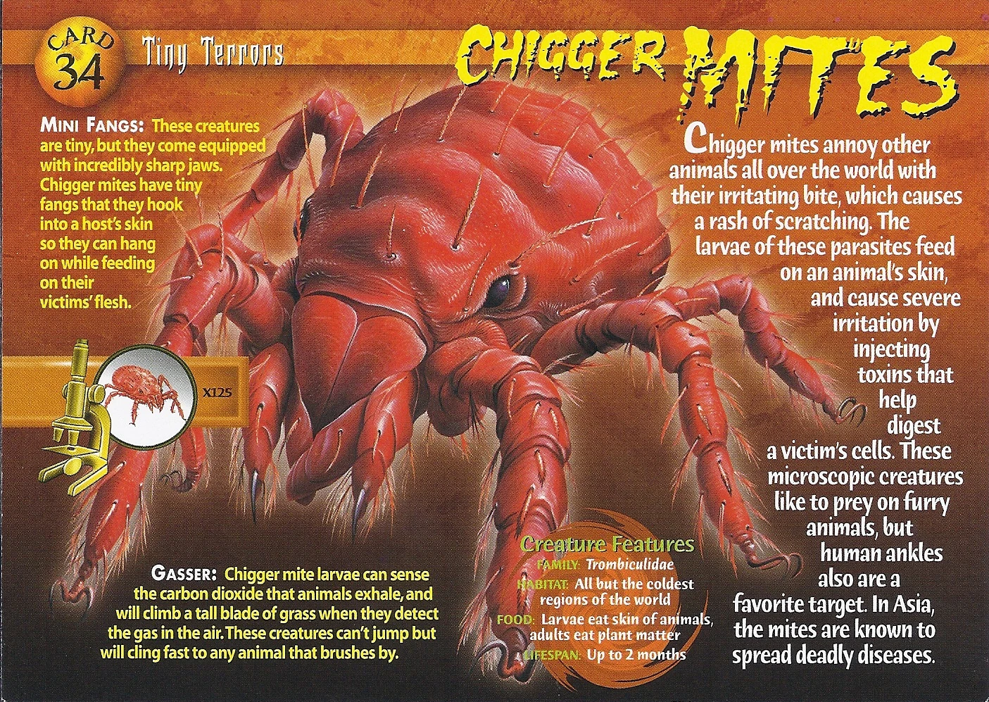 Chigger Mites Wierd N'wild Creatures Wiki FANDOM powered by Wikia