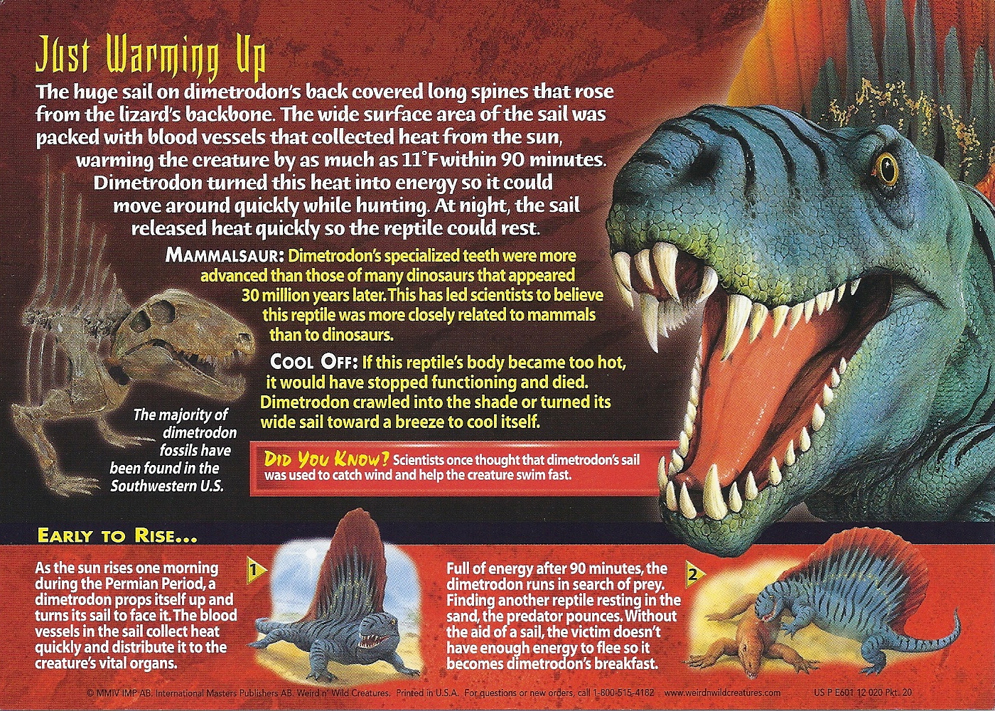 image dimetrodon back jpg wierd nwild creatures wiki fandom dimetrodon size