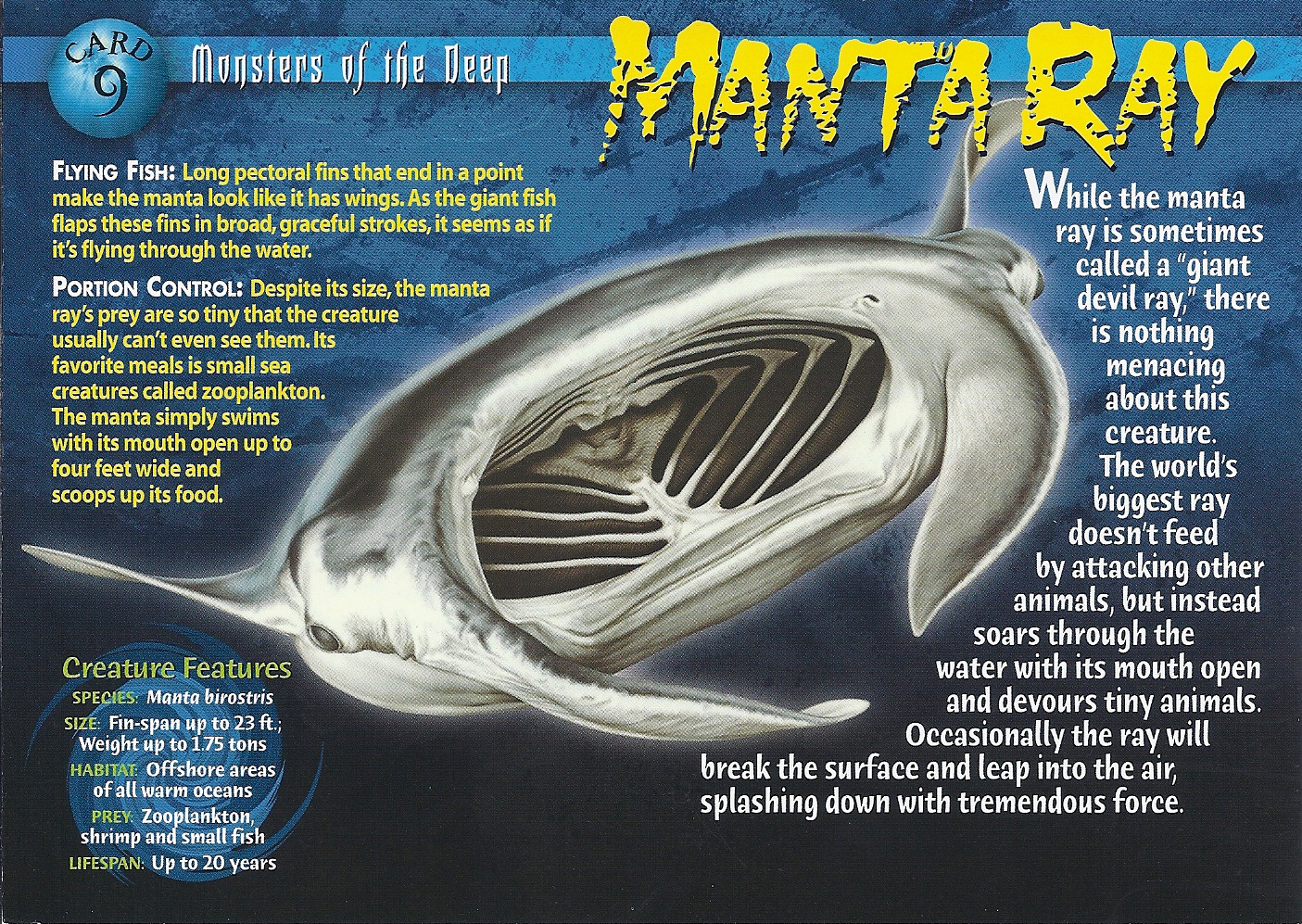 Manta Ray | Wierd N'wild Creatures Wiki | FANDOM powered by Wikia