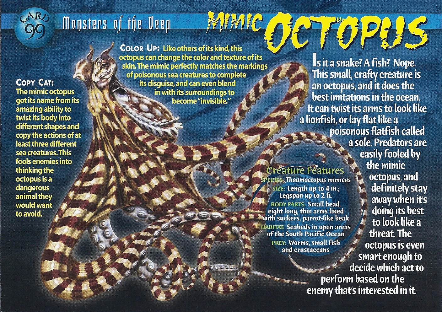 Mimic Octopus Weird n' Wild Creatures Wiki Fandom