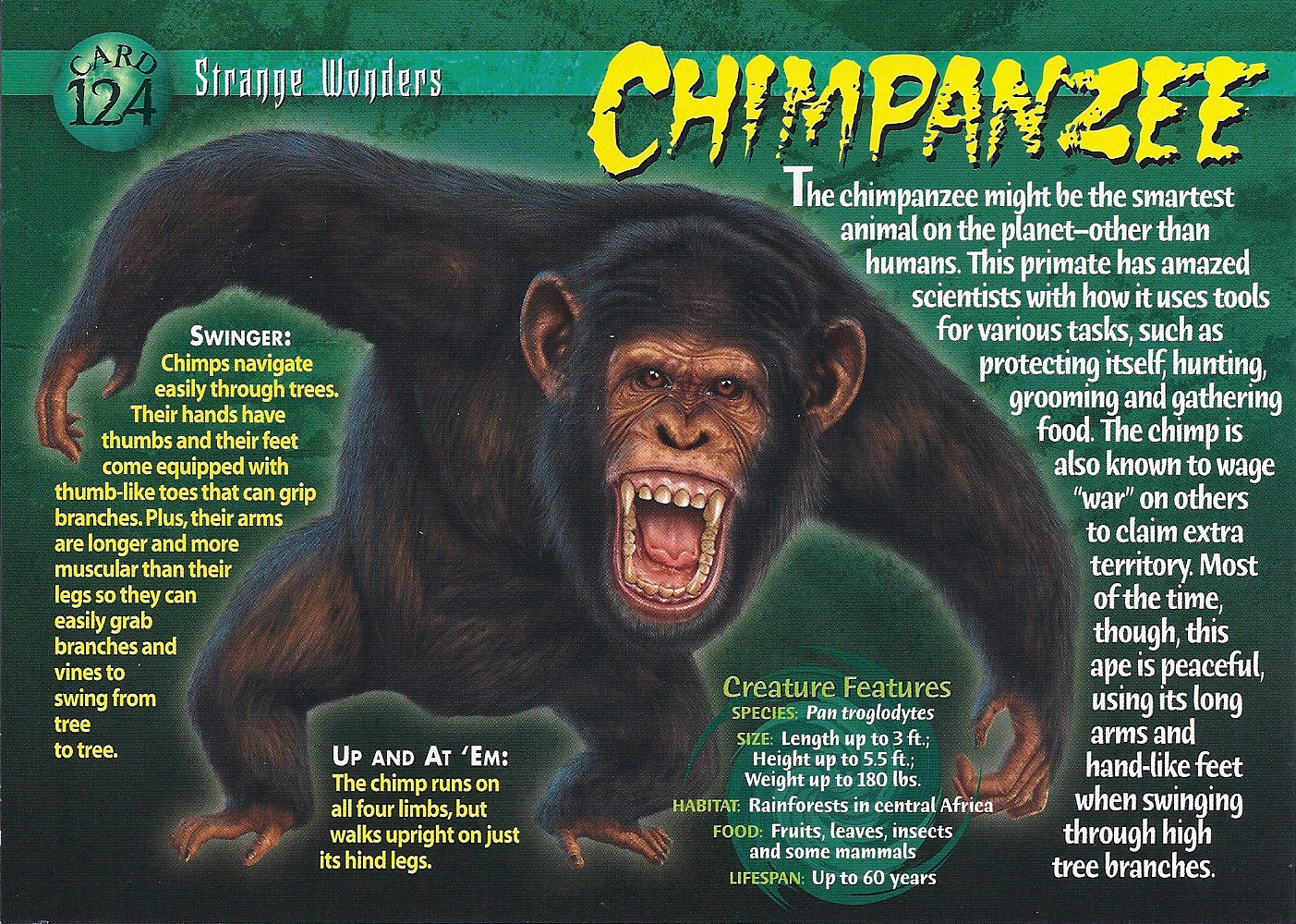 image chimpanzee front jpg wierd nwild creatures wiki fandom chimp size