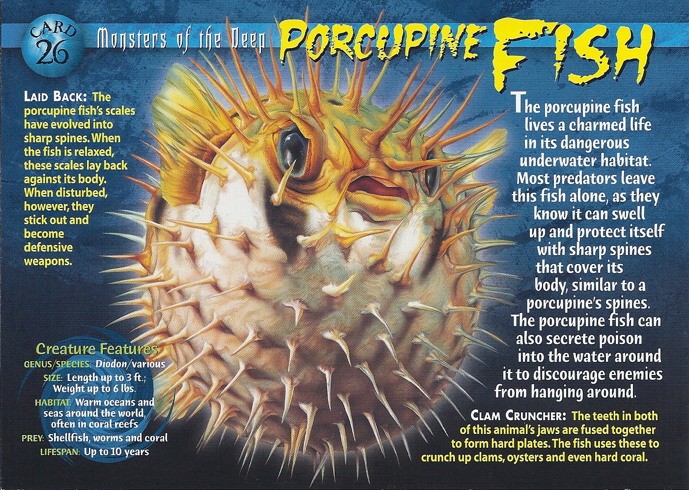 Image result for Porcupine fish