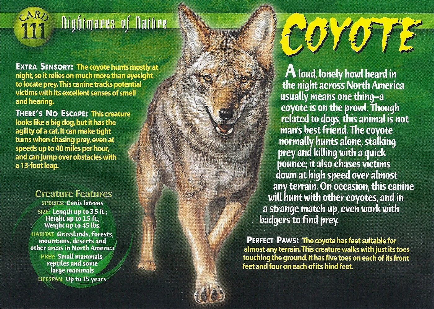 Coyote Weird N Wild Creatures Wiki Fandom