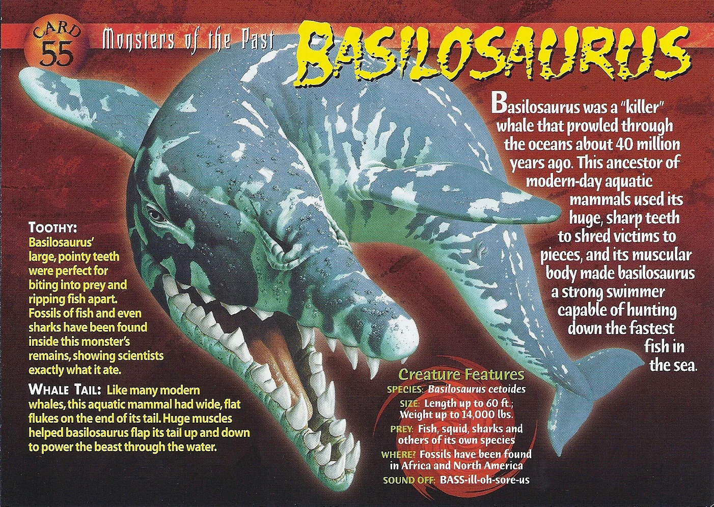 Basilosaurus Wierd N'wild Creatures Wiki FANDOM powered by Wikia