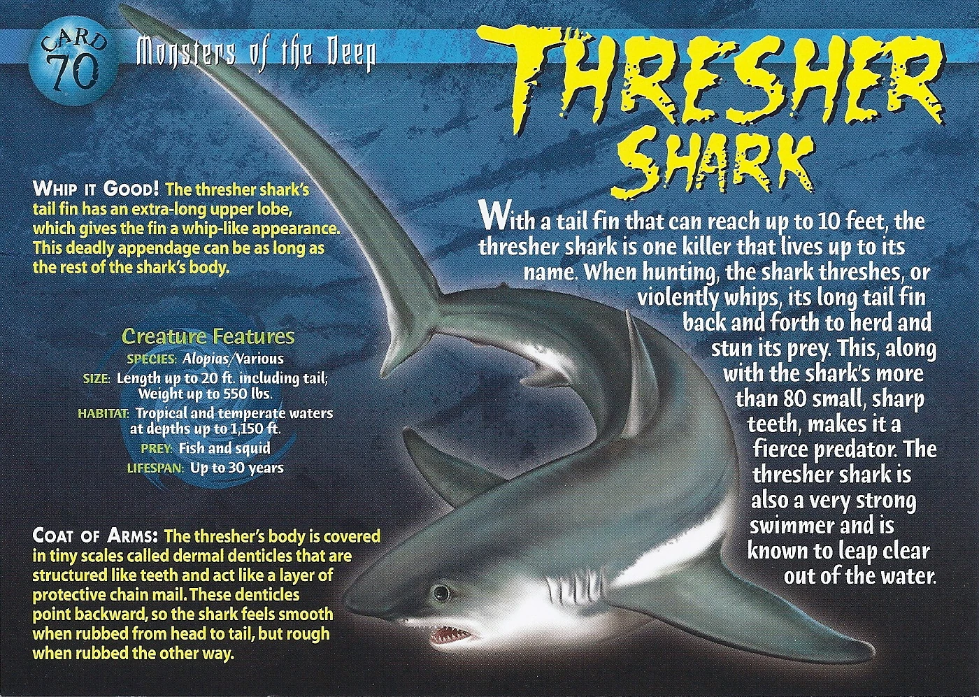 Thresher Shark | Wierd N'wild Creatures Wiki | FANDOM powered by Wikia