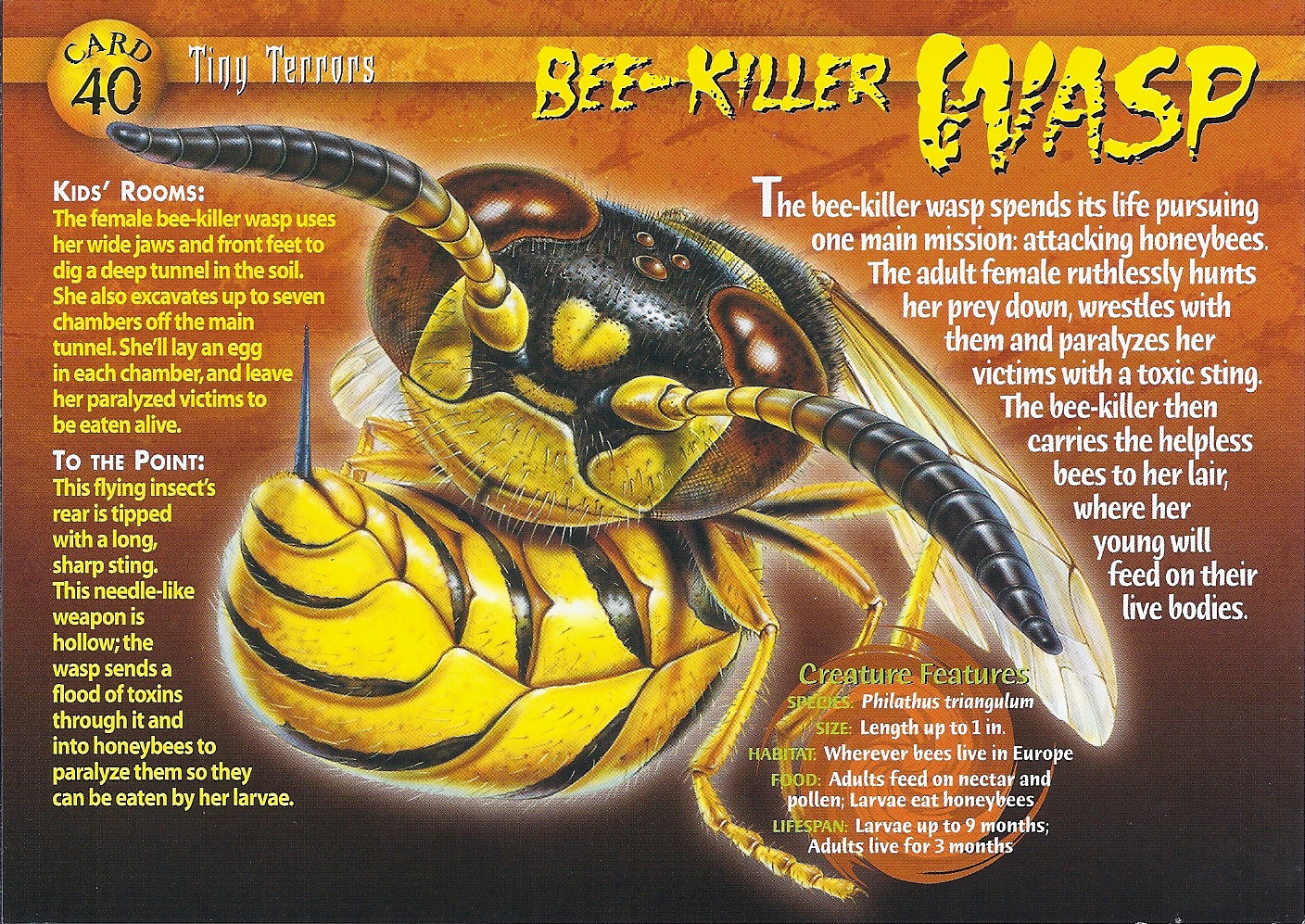 bee killer