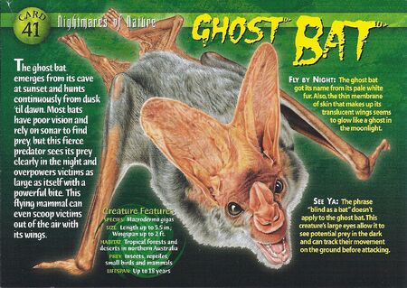 bat ghost nature nightmares weird front name creatures wild bats card wiki wikia animal wierdnwildcreatures