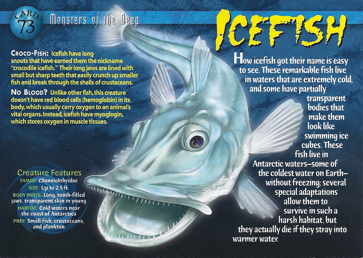 Icefish Weird n' Wild Creatures Wiki FANDOM powered by Wikia