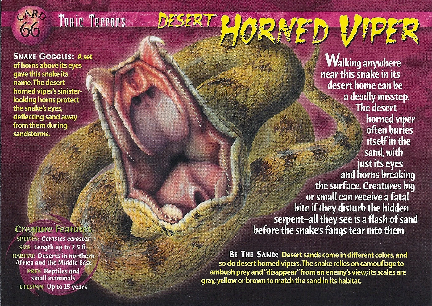 Desert Horned Viper | Weird n' Wild Creatures Wiki | Fandom