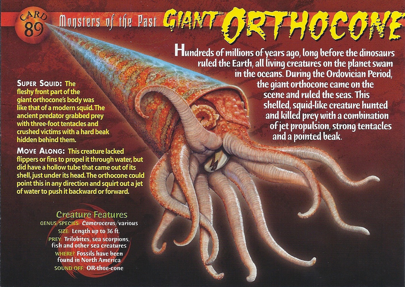 Giant Orthocone Weird N Wild Creatures Wiki Fandom Powered By Wikia