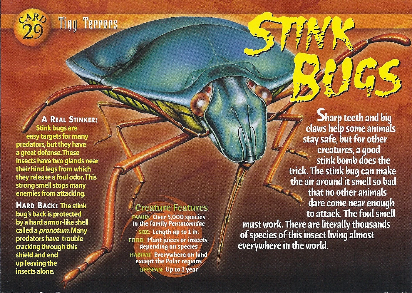 Stink Bugs Weird n' Wild Creatures Wiki Fandom